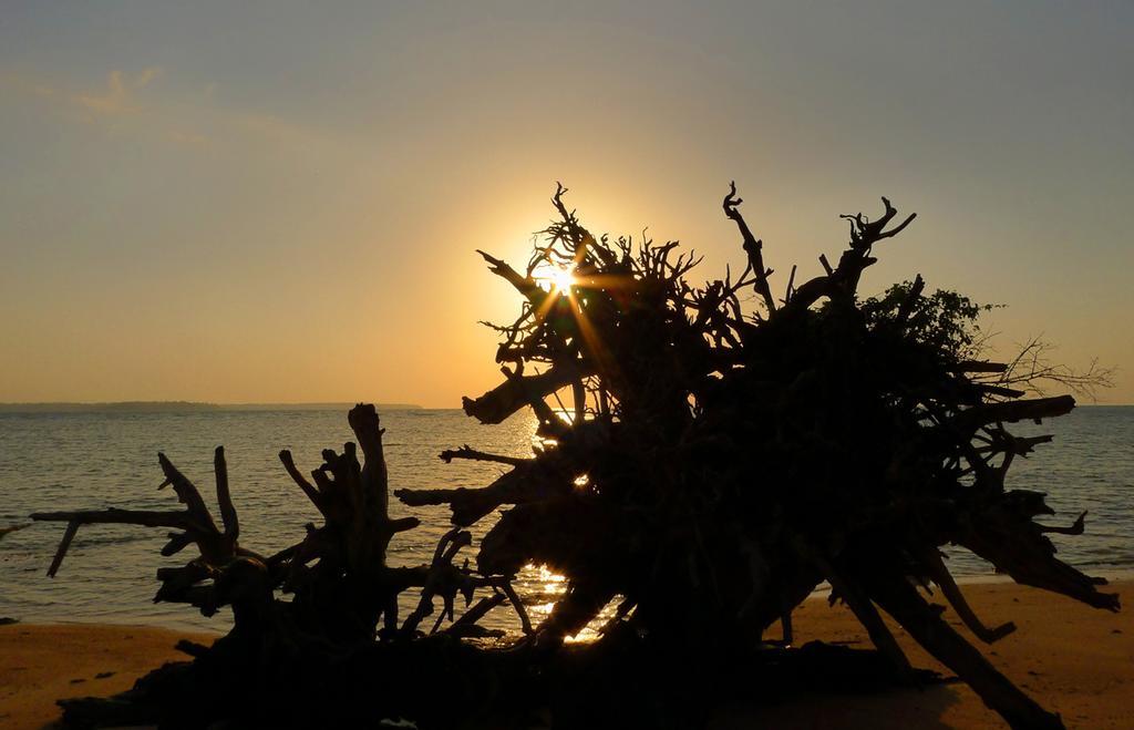 Anugama Resort Wandoor Luaran gambar